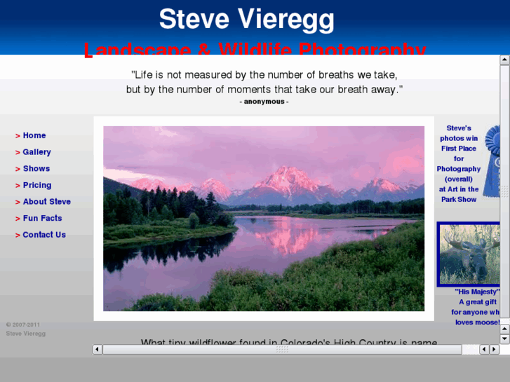 www.stevevieregg.com