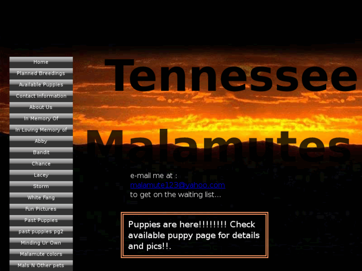 www.tennesseemalamutes.com