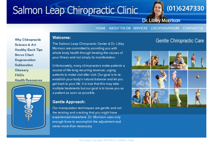 www.dublin-chiropractic.com