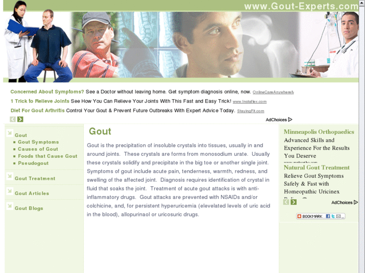 www.gout-experts.com