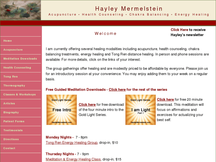 www.hayleymermelstein.com