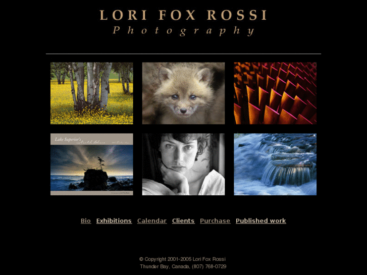 www.lorifoxrossi.com