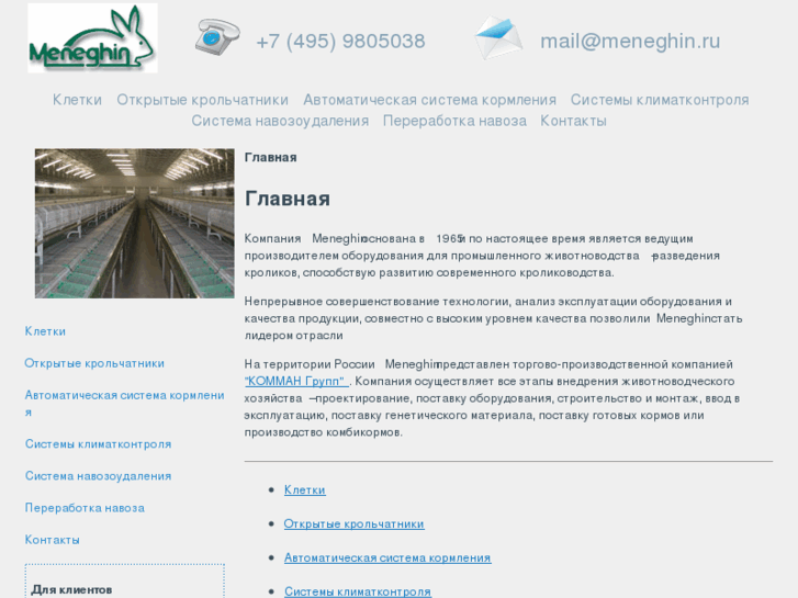 www.meneghin.ru