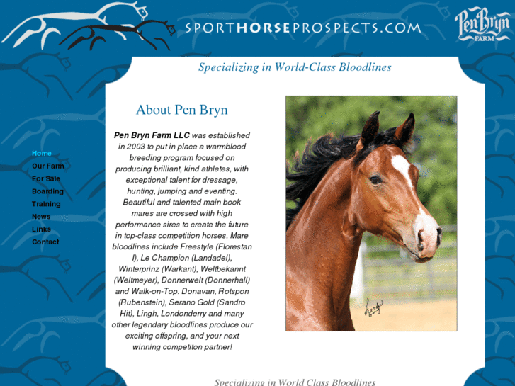 www.sporthorseprospects.com