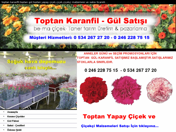 www.toptancicekci.net