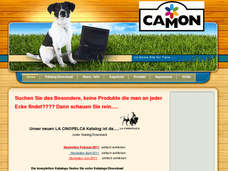 www.camon.biz