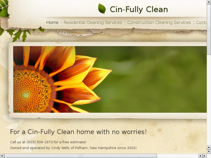 www.cinfullyclean.com