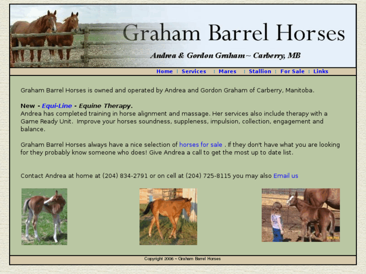 www.grahambarrelhorses.com