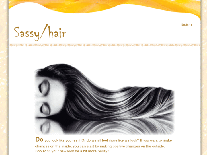 www.sassyhairsalon.com