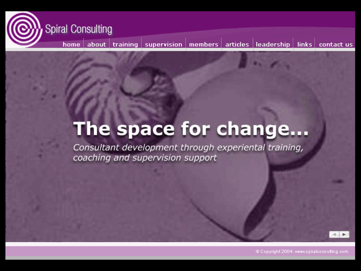 www.spiralconsulting.com