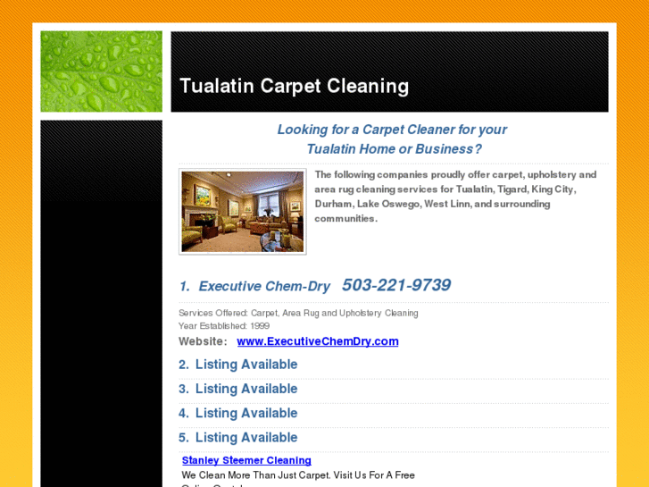 www.tualatincarpetcleaning.com