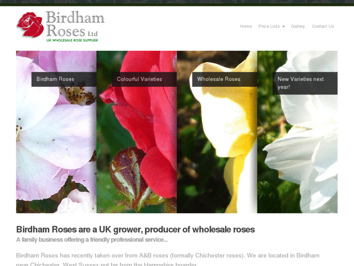 www.birdhamroses.com