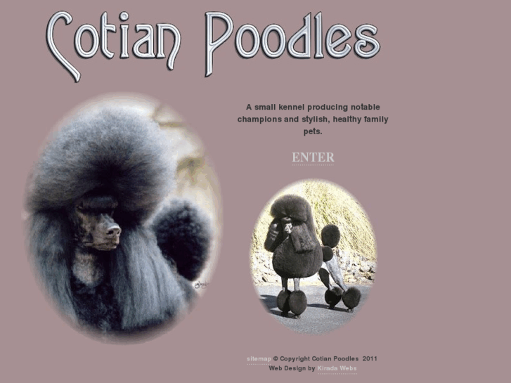 www.cotianpoodles.com