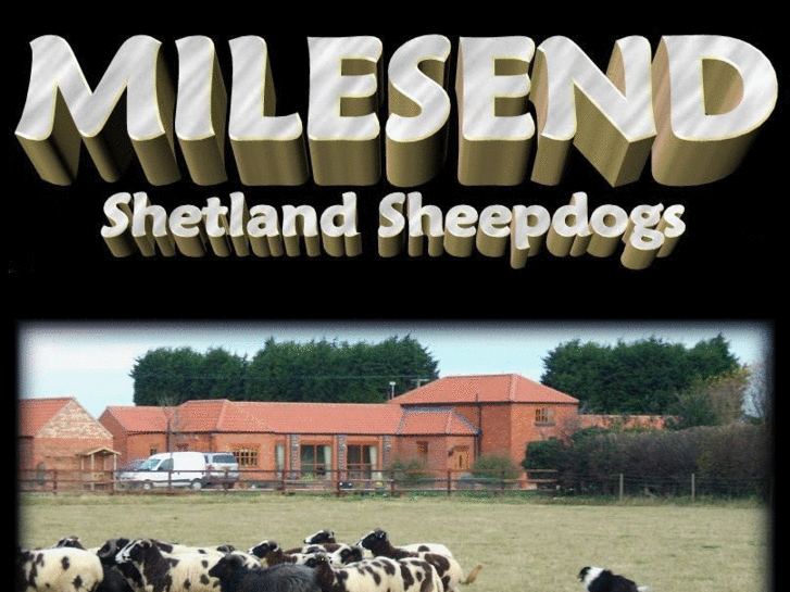 www.milesend.eu