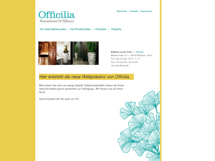 www.officilia.com