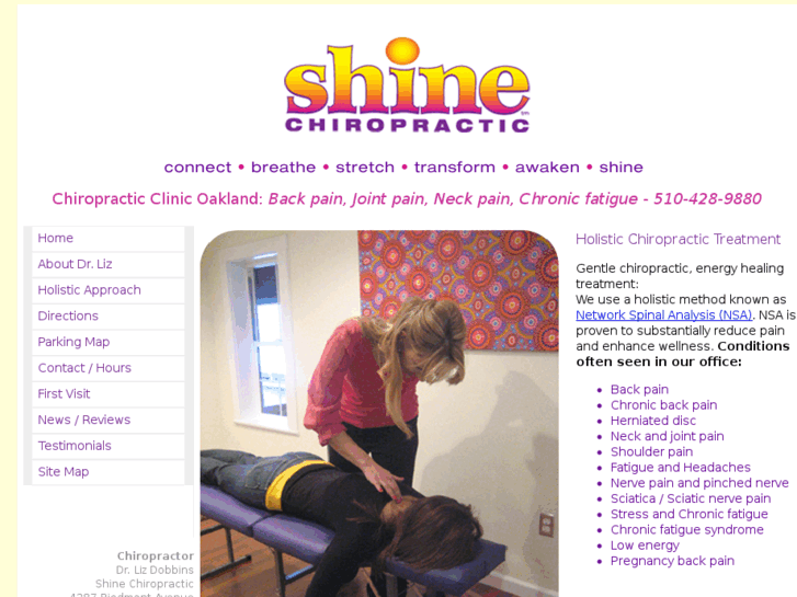 www.shinechiropractic.com