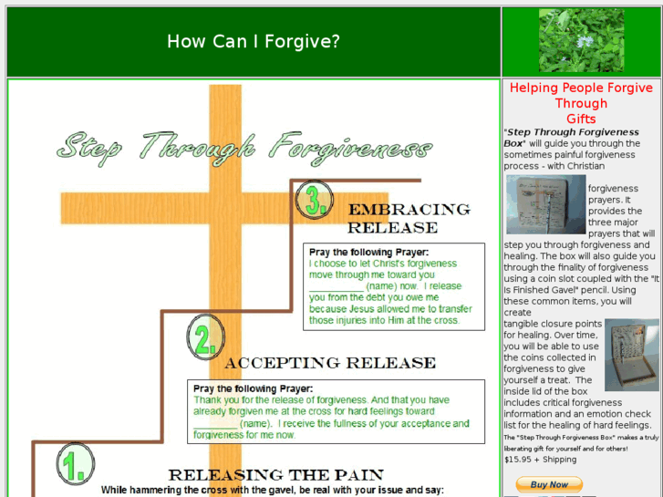 www.forgivenesssteps.com