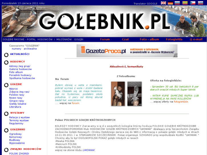 www.golebnik.pl