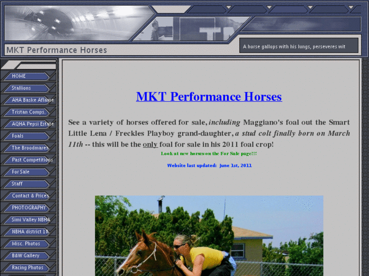 www.mktgallop.com