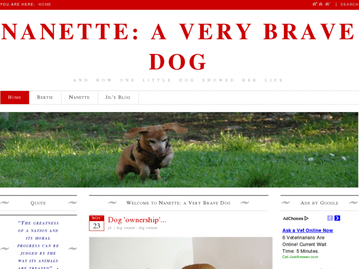 www.nanetteaverybravedog.com