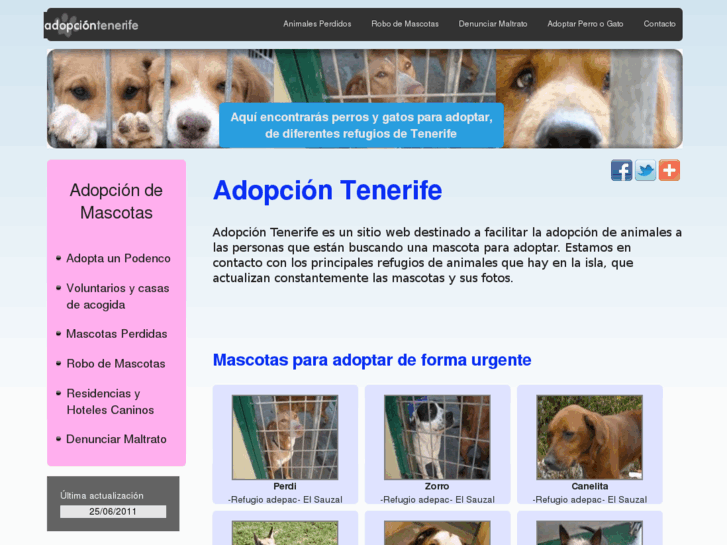 www.adopciontenerife.com