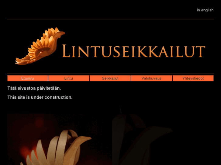 www.lintuseikkailut.com