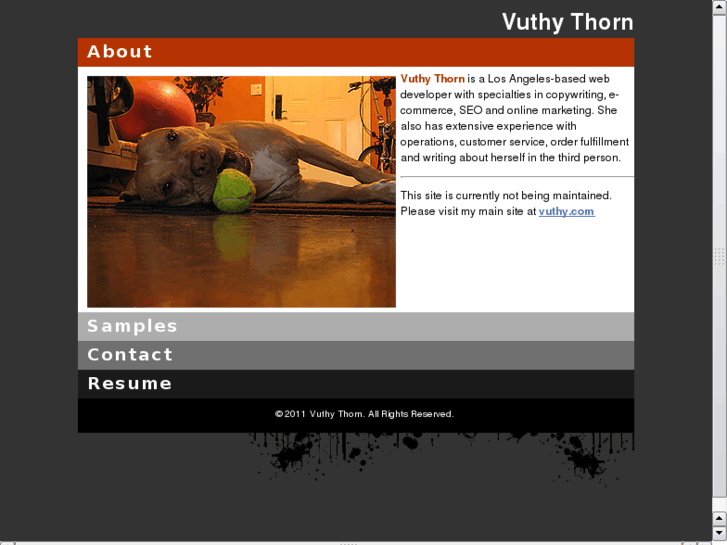 www.vuthythorn.com