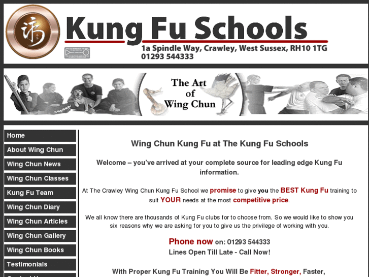 www.wtkungfu.org