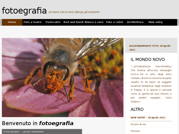 www.fotoegrafia.net