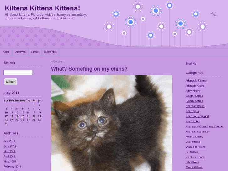 www.kittenskittenskittens.com