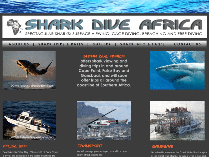 www.sharkdiveafrica.com