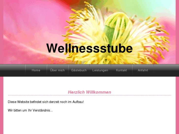 www.wellnessstube.com