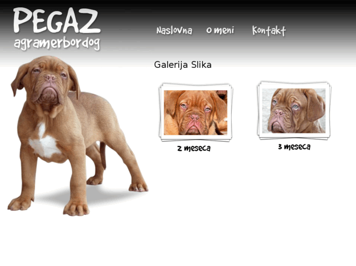 www.agramerbordog-pegaz.com