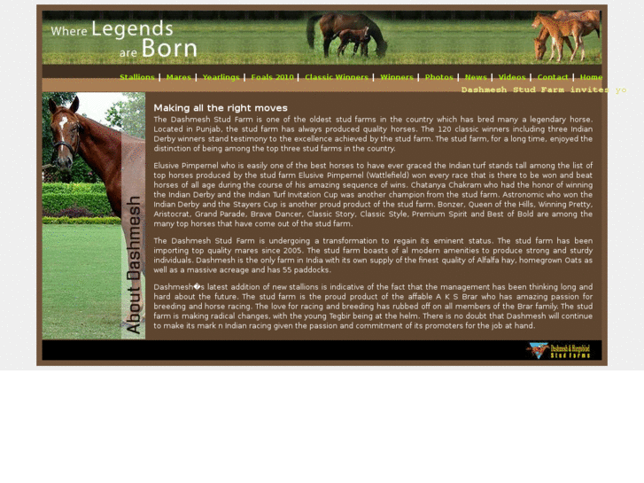 www.dashmeshstudfarm.com