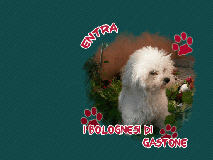 www.ibolognesidigastone.com