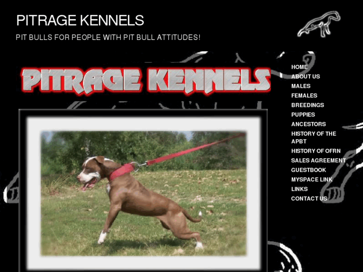 www.pitragekennels.net