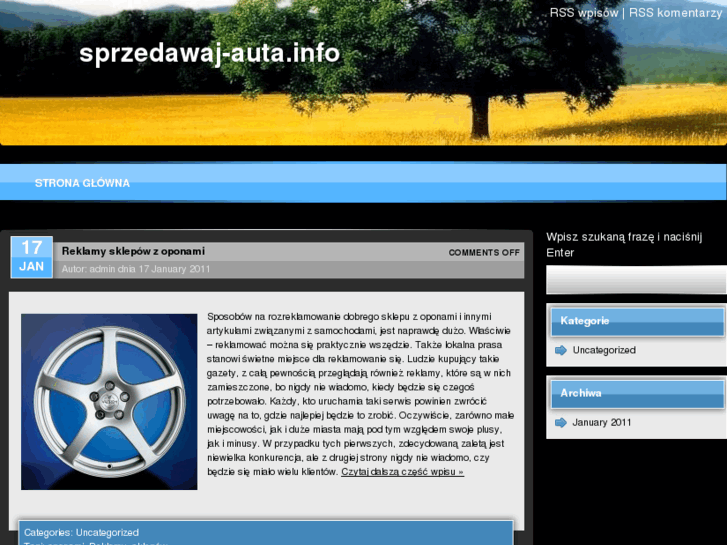 www.sprzedawaj-auta.info