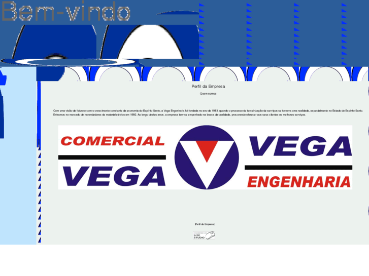 www.vegaeletrica.com