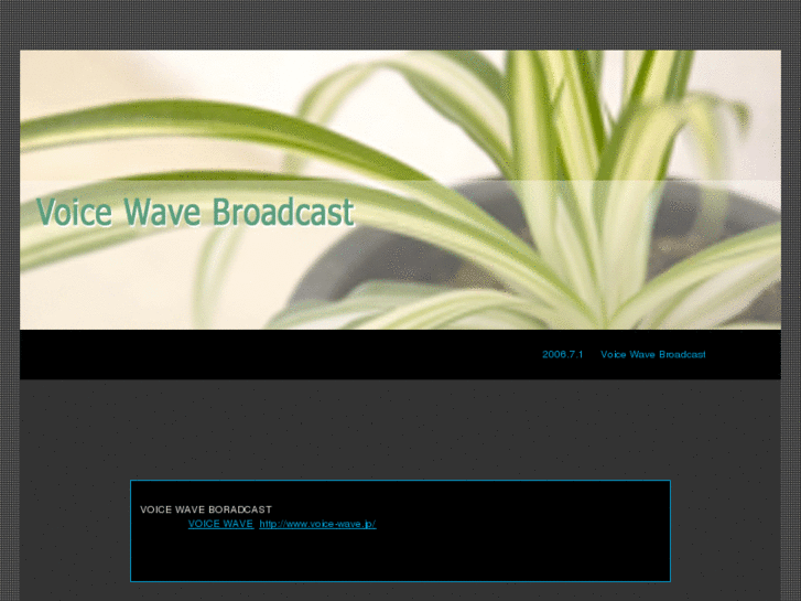 www.voice-wave.net