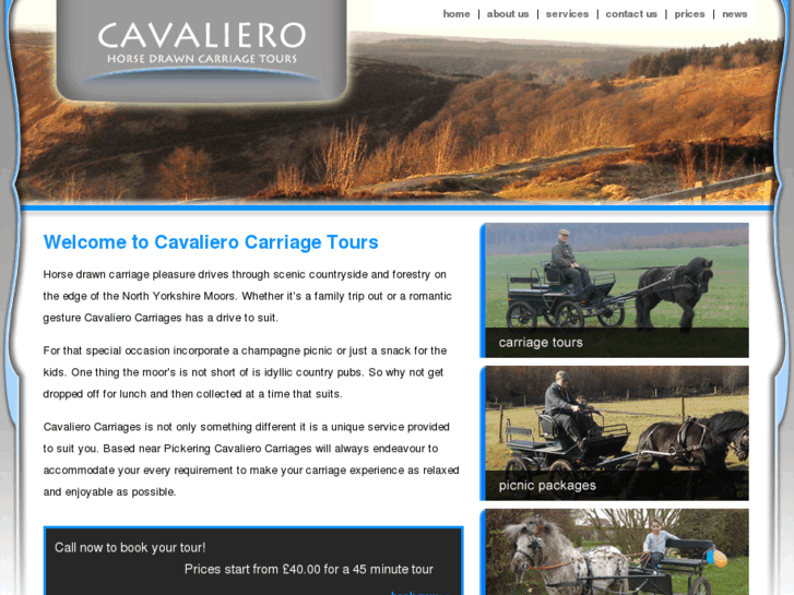 www.cavaliero-carriages.com