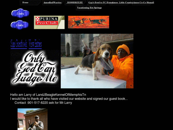 www.elcudoblackcreekbeagles.com