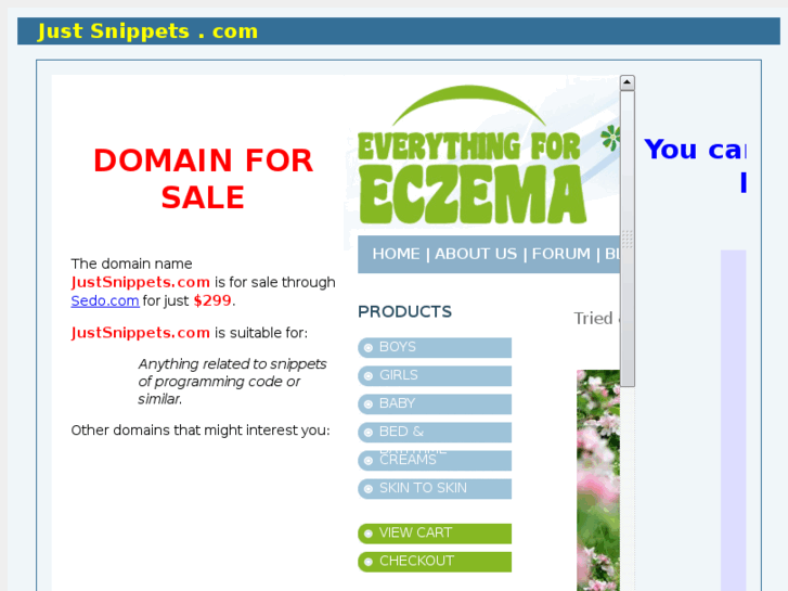 www.justsnippets.com