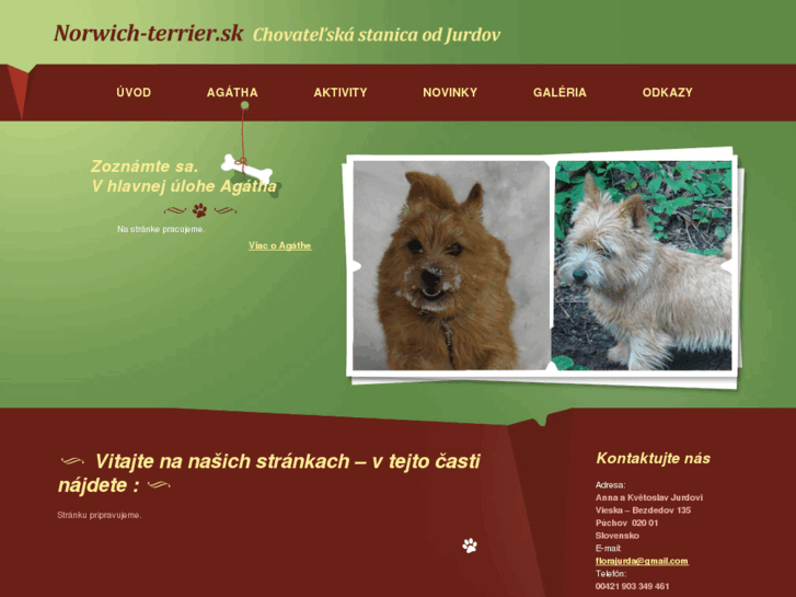 www.norwich-terrier.sk