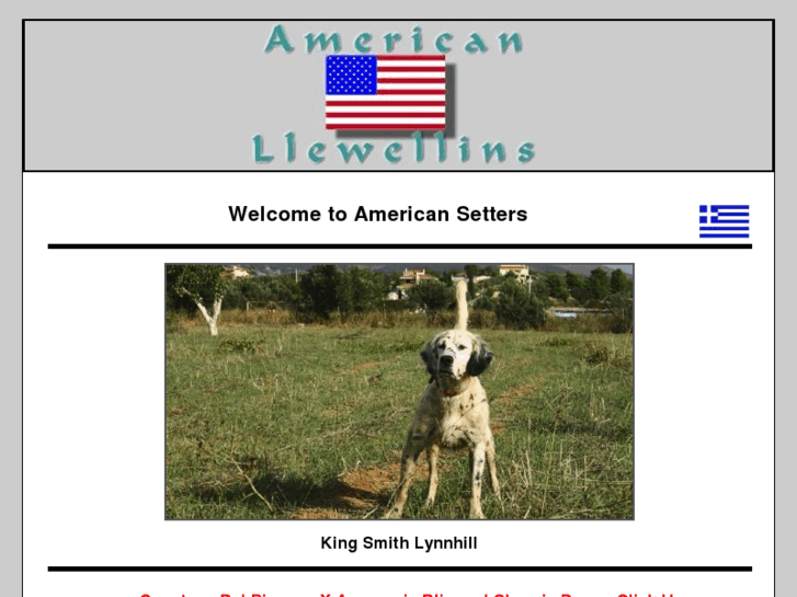 www.americansetters.com