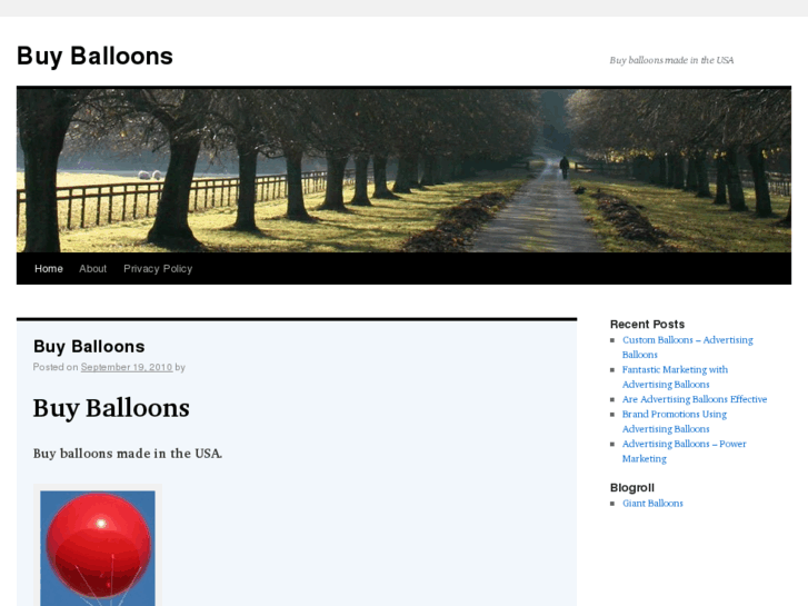 www.buy-balloons.com