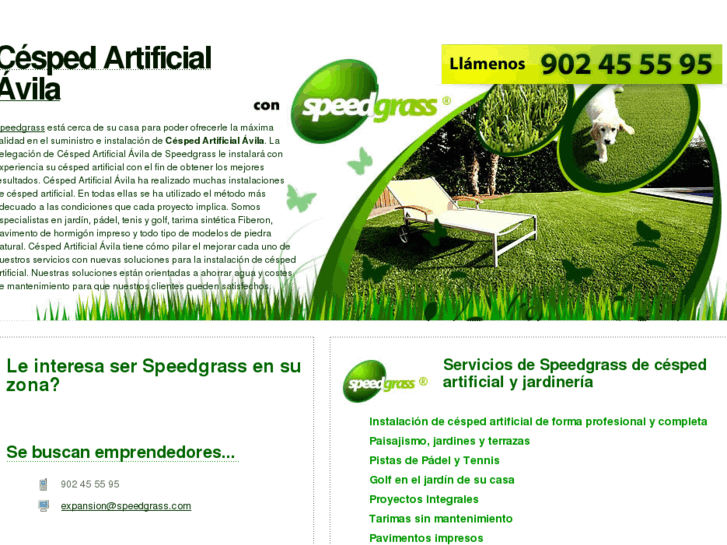 www.cespedartificialavila.com