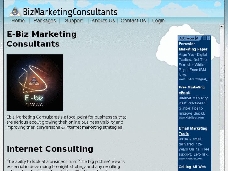 www.ebizmarketingconsultants.com