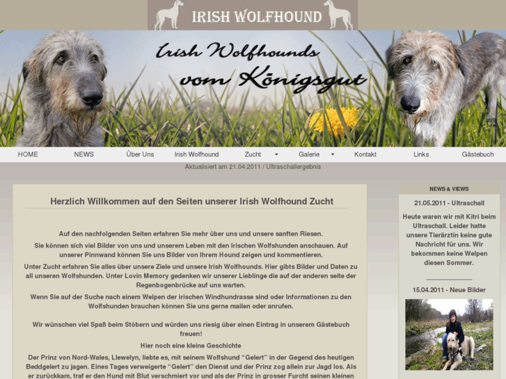 www.irish-wolfhound.net