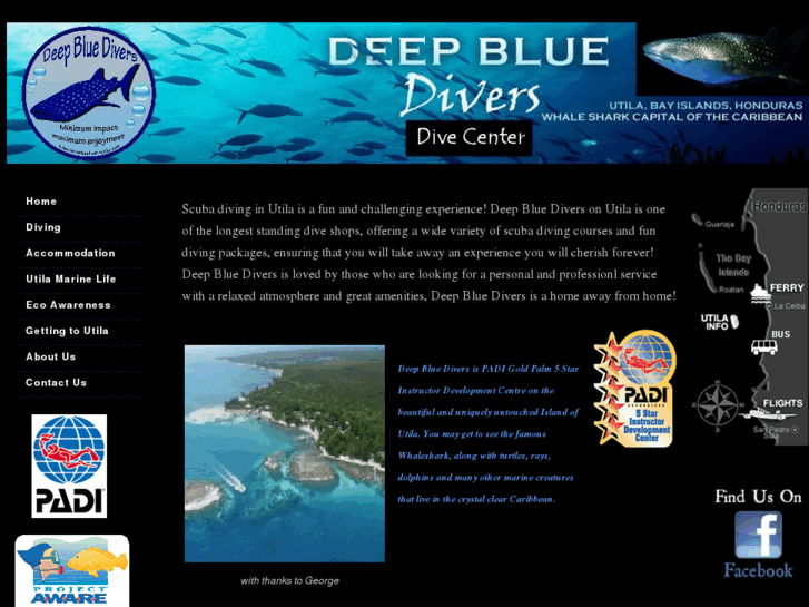 www.deepbluediversutila.com