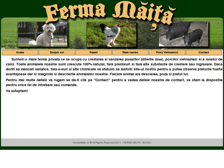 www.fermamaita.ro